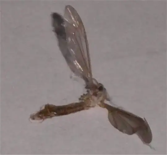 Insect - was nearby - don't know if its related to damage