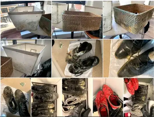 Examples of the mold I found in the room