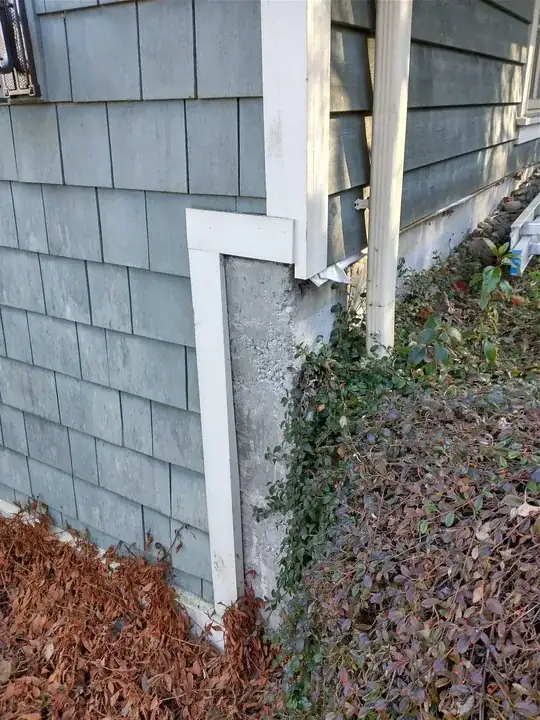 Pic of tall stem wall