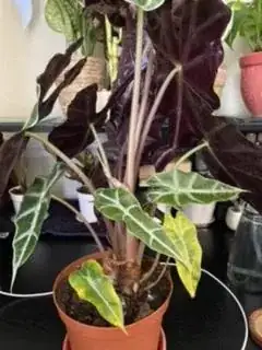 enter image description here