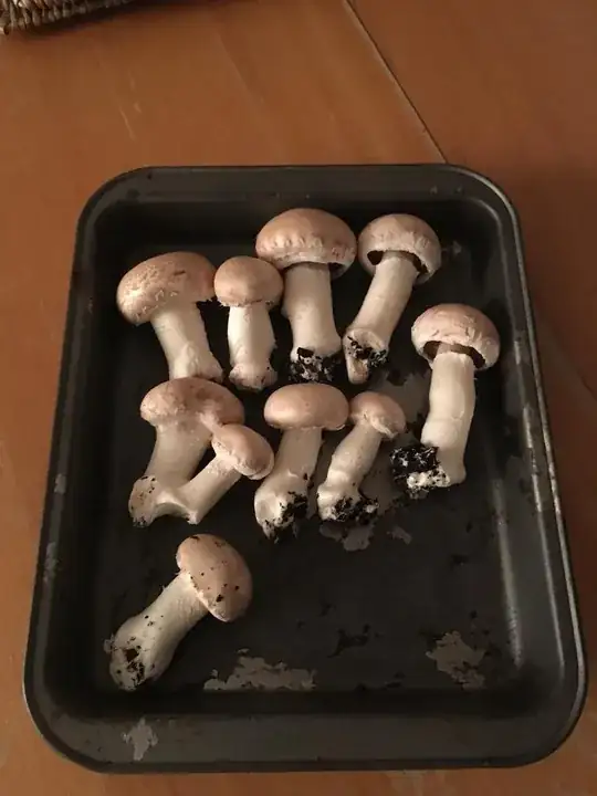 first harvest