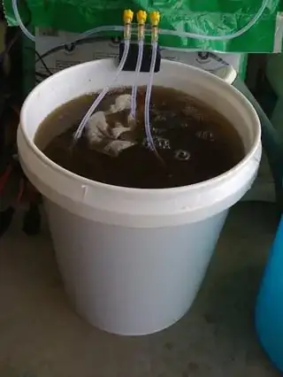 Brewing Compost Tea