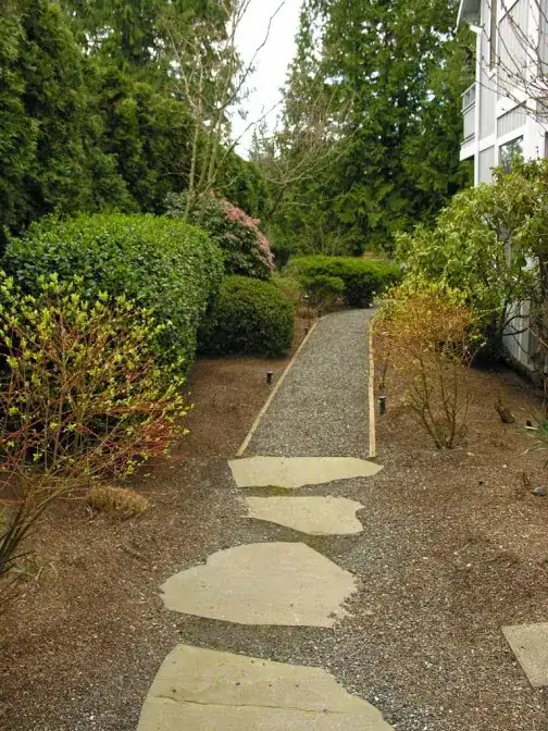 stepping stone blue stone