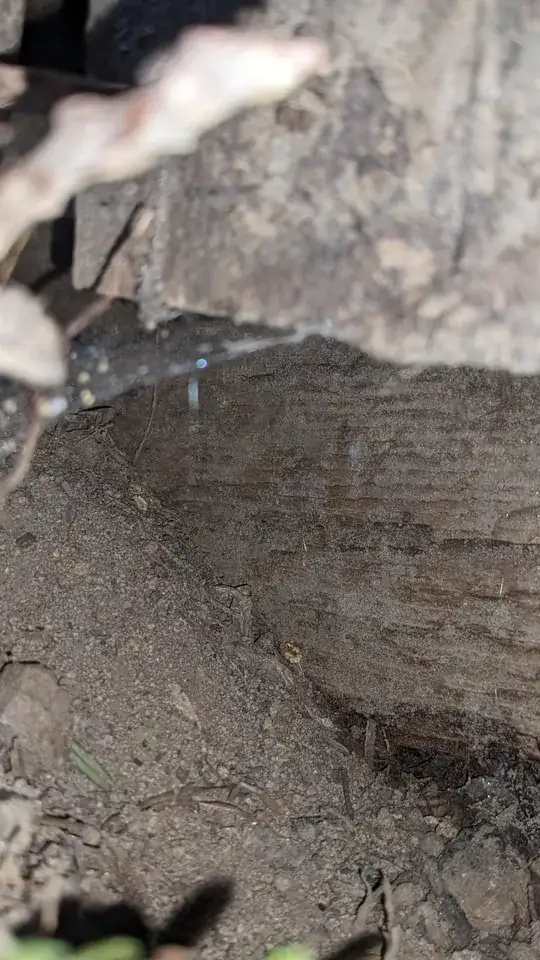 Northern hole, inside view