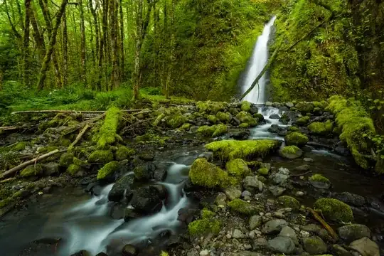 The rocks and moss here