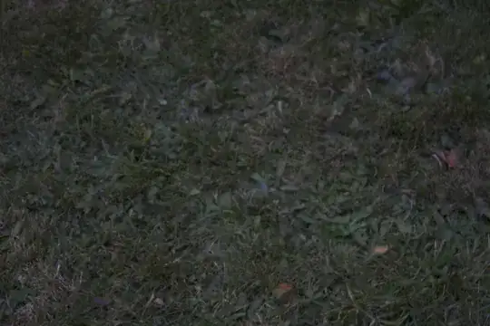 Front lawn close-up 2