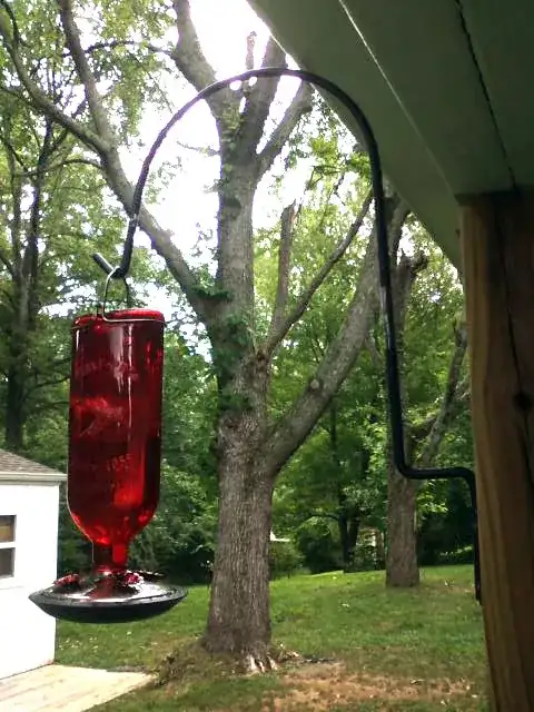 Hummingbird feeder