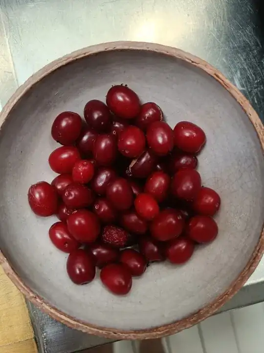 Image showing collection of berries