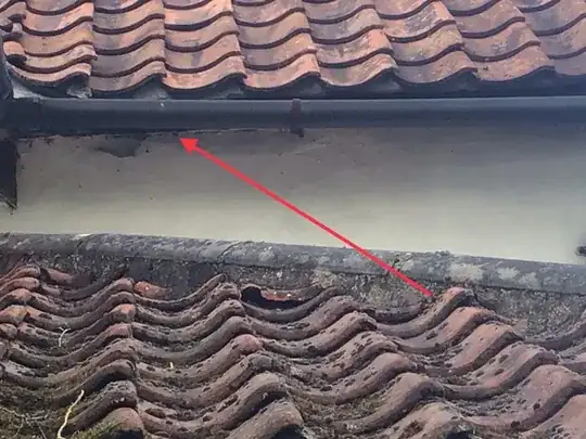 Image showing location of the wasp nest