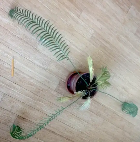 out of control cycad