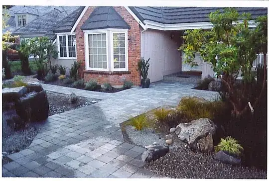 newly rejuvenated rhododendrons in new install