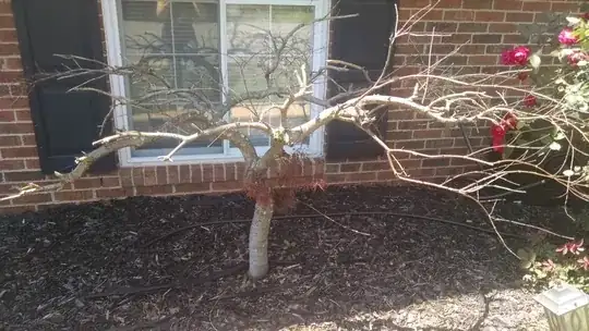 Failing Tree