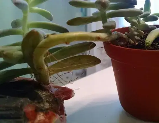 Side view left spread