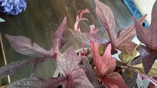 enter image description here]