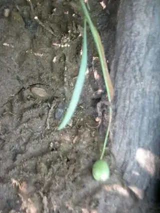 Click on photo for full size enter image description here