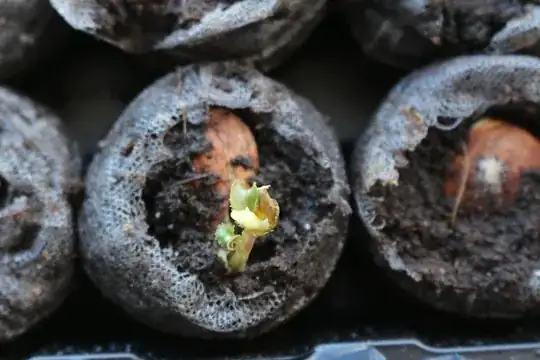 Another view of browning