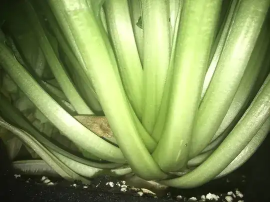 Stalks from bottom side, dead leaf on left