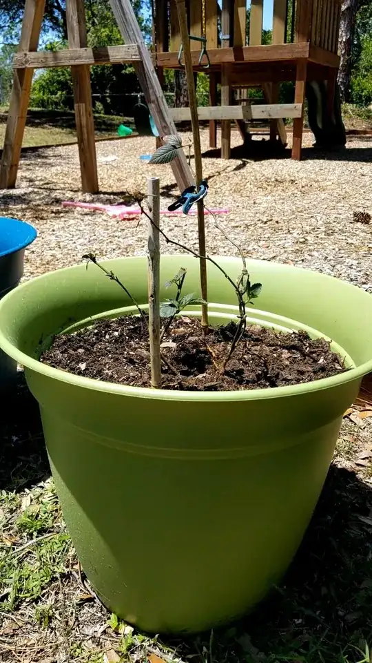 Cleaned out and separated into two