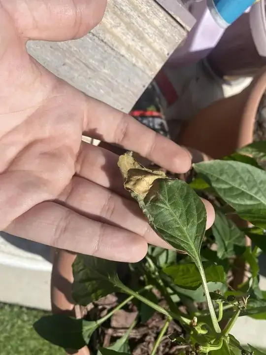 enter image description here