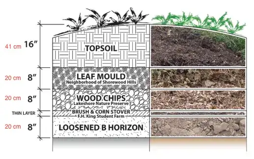 Diagram of 16 inches of top soil over 8 inches of leaf mould, 8 inches of wood chips, a thin layer of brush and corn stover, and 8 inches of loosended soil4