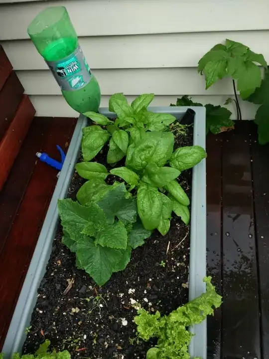 enter link description here