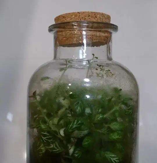 Photo of my bottle terrarium