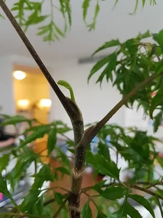 New growth still happening