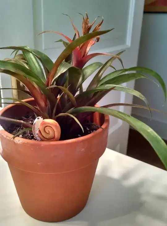 Small Brom Better light Pic4