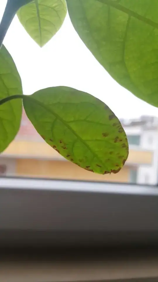 Figure 2: Brown leaf.