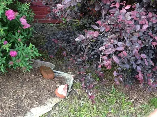 Newspapers under mulch