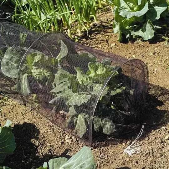 Micro-mesh Grow Tunnel