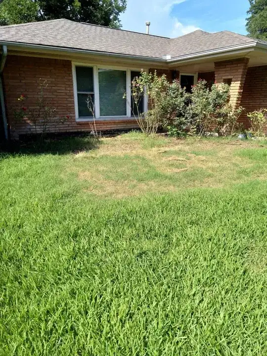 looking toward house