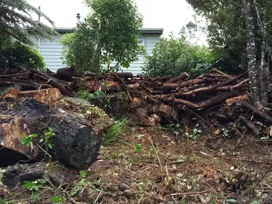 wood pile