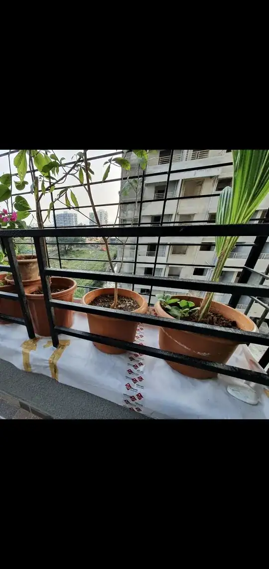 WIndow tray made from plastic sheeting