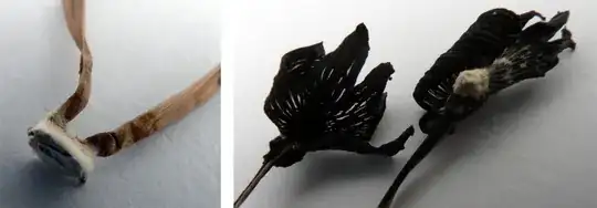 Pictures of both ends