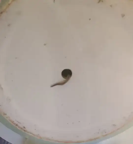 this is the root coming out