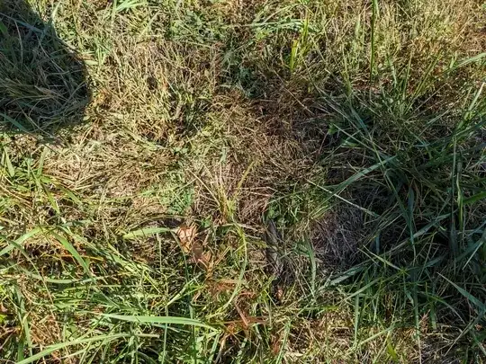 Close-up of buried pipe