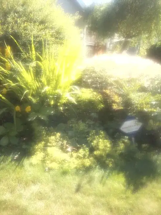 sheared Blue Arctic Willows for small yard soft hedges