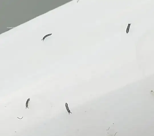 Close-up of bugs