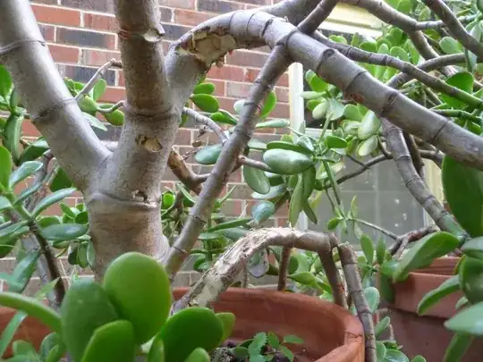 Closer view of damage