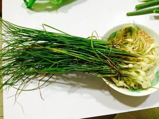 Here's another picture of the "Welsh Onion" I supposedly bought: