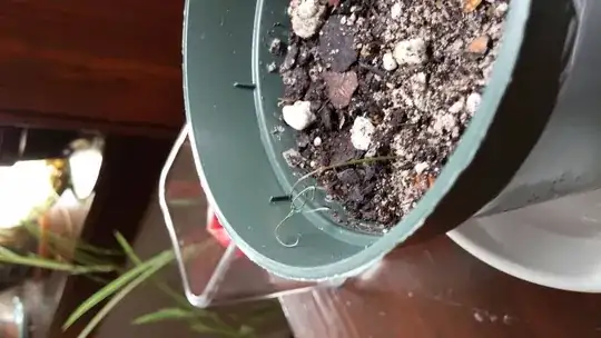 one in the best shape