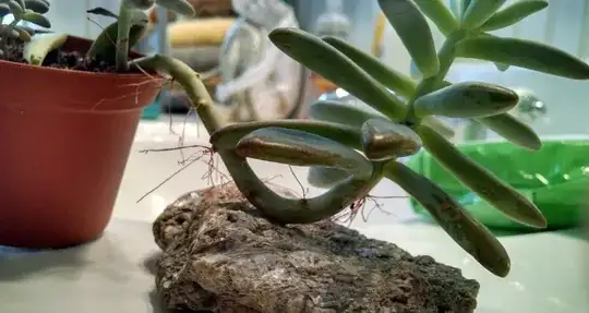 Side view right spread