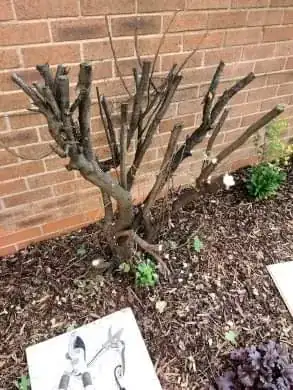 I hope I've done enough to end this infestation!