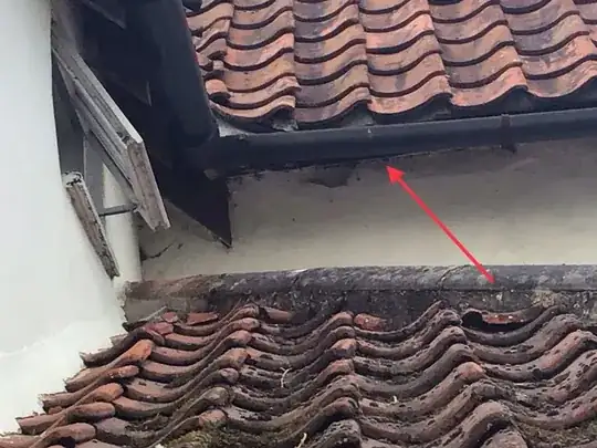 Image showing location of wasp nest in relation to the window