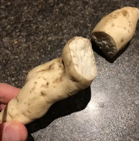possibly immature sweet potato