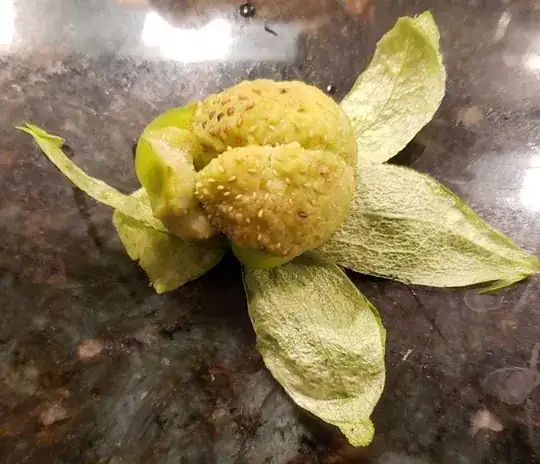 my tomatillo thinks he's a strawberry