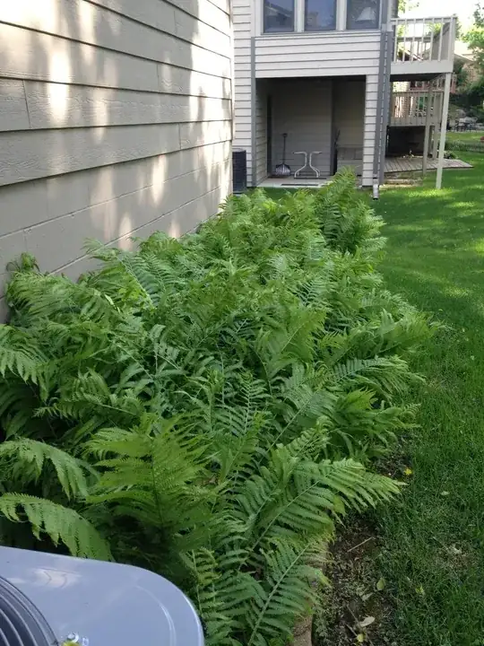 Taking over this whole area