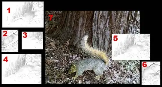 Rat in the hole & comparable size to squirrel