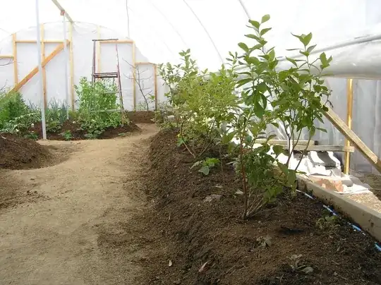 first garden in high desert pumice soil pH 7.5